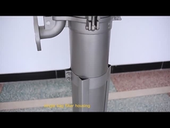 Ruiao SUS304 316 ステンレス鋼 フィルターハウジング シングル/マルチバッグ フィルターハウジング ワインビールジュース